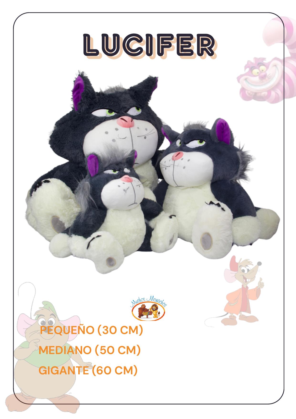 Página 26